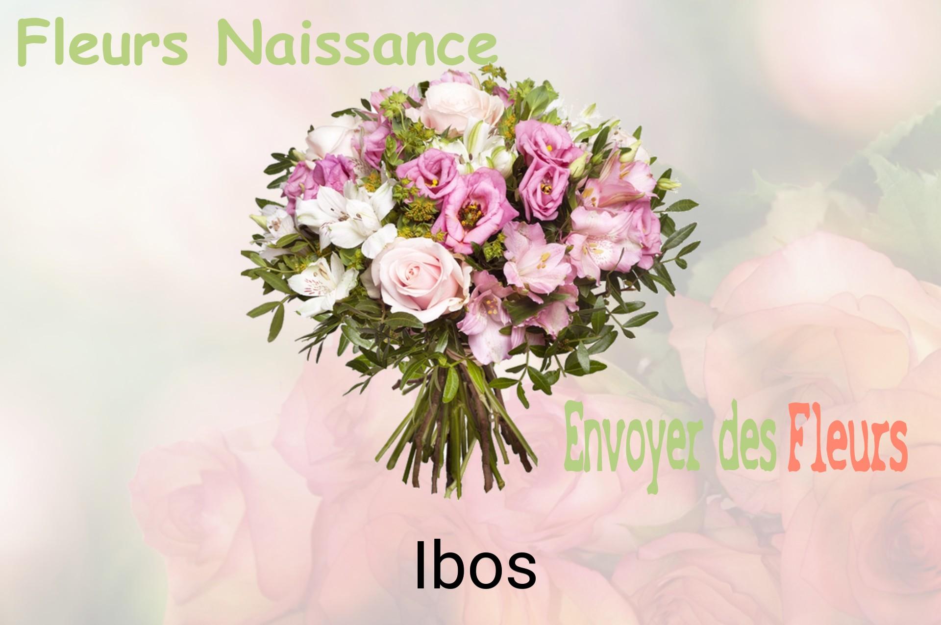 Bouquet de fleurs de naissance livré à Ibos